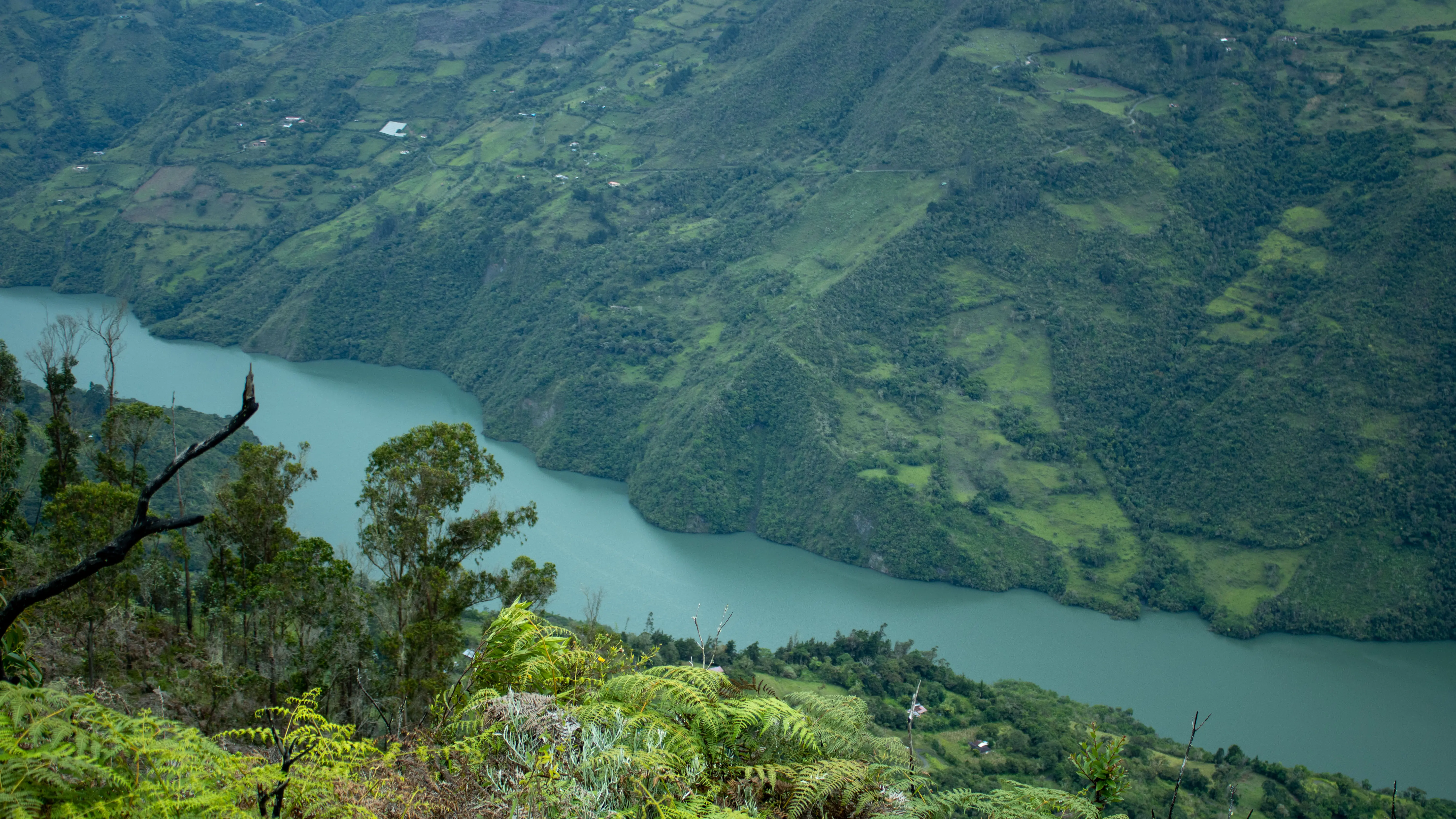 Momentos en Las Montañas del Edén